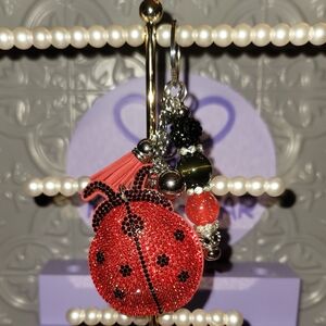 Red Ladybug Keychain with Custom Beaded bar